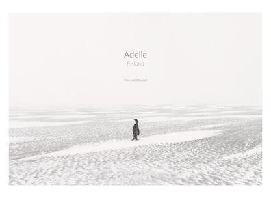 Adelie: Eismeer - Eisland, Vincent Munier