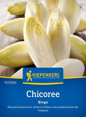 Chicoree Bingo, F1, robuste Gartensorte - anbausicher - Kiepenkerl