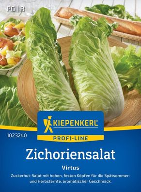 Zichoriensalat Virtus, F1, Zuckerhut-Salat mit hohen, festen Köpfen