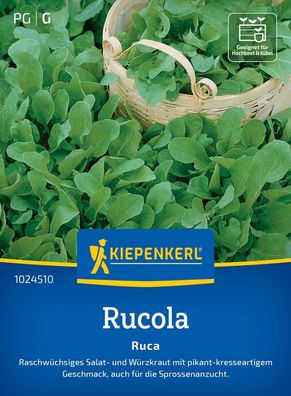 Rucola Salatrauke, raschwüchsiges Satal- u. Würzkraut - auch für die