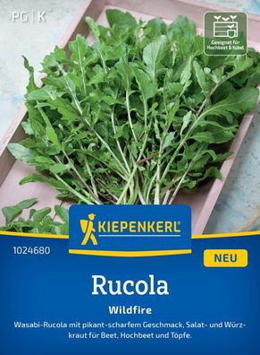 Rucola Wildfire, Wasabi-Rucola - Salat- u. Würzkraut für Beet, Hochbeet und