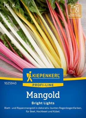 Mangold Bright Lights, Blatt- u. Rippenmangold - dekorativ - für Beet,