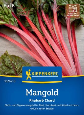 Mangold Rhubarb Chard, Blatt- u. Rippenmangold für Beet, Hochbeet und Kübel