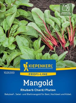 Mangold Rhubarb Chard/Pluton, Babyleaf-, Salat und Blattmangold für Beet,