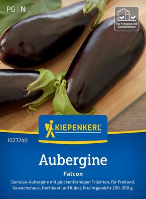 Aubergine Falcon, F1, Gemüse-Aubergine - glockenförmig - Freiland,
