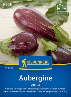 Aubergine Lucilla, F1, Gemüse-Aubergine - gestreifte Früchte - Fruchtgewicht