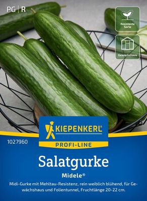 Salatgurke Midele®, F1, Midi-Gurke mit Mehltaus-Resistenz - rein weiblich