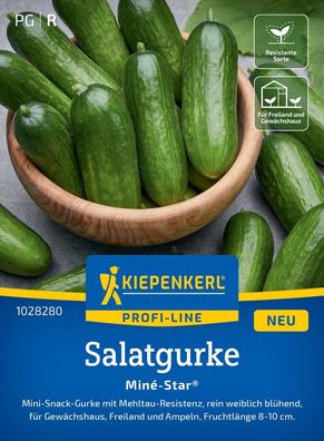 Salatgurke Miné-Star®, F1, Mini-Snack-Gurke mit Resistenzen - rein weiblich