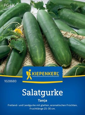 Salatgurke Tanja, Freiland- und Landgurke mit glatten, aromatischen Früchten