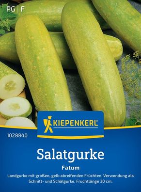 Salatgurke Fatum, Landgurke mit großen, gelb abreifenden Früchten - Schnitt