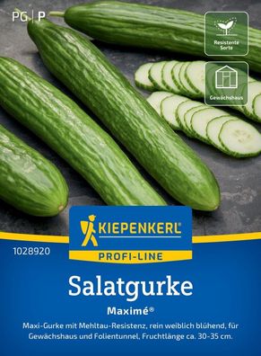 Salatgurke Maximé®, F1, Maxi-Gurke mit Resistenzen - rein weiblich