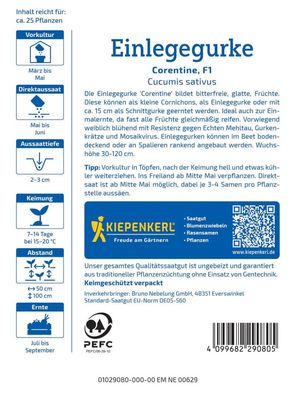 Einlegegurke Corentine, F1, Mehltauresistent - weiblich - Cornichon, Einlege