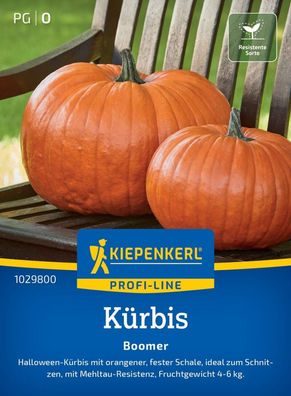 Kürbis Boomer, F1, Halloween-Kürbis - Ideal zum schnitzen - resistent