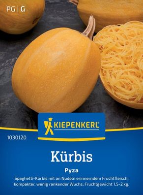 Kürbis Pyza, Spagetti-Kürbis - Fruchtfleisch erinnert an Nudeln