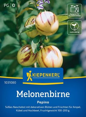 Pepino Melonenbirne, süßes Naschobst - für Ampeln, Kübel und Hochbeet,