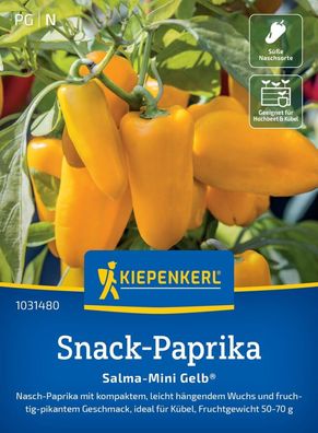 Paprika Salma-Mini Gelb®, Nasch-Paprika - kompakter Wuchs - Ideal für Kübel