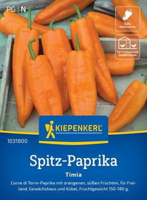 Spitz-Paprika Timia, Corne di Torro - Freiland, Gewächshaus u Kübel