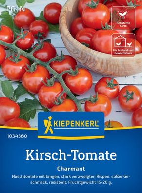 Kirsch-Tomate Charmant , F1, Naschtomate mit langen, stark verzweigten Rispen