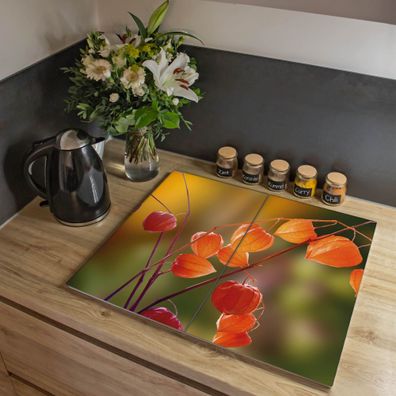banjado® Herdabdeckung aus gehärtetem Glas zweiteilig Motiv Lampionblume