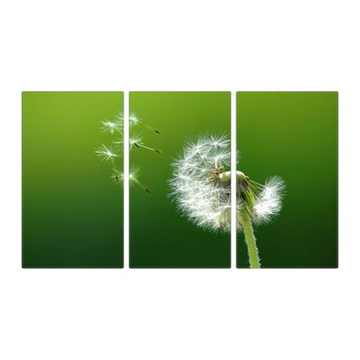 banjado® Herdabdeckung aus Glas dreiteilig je 30x52cm Motiv Pusteblume