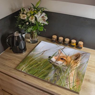 banjado® Herdabdeckung aus Glas zweiteilig je 35x52cm Motiv Fuchs