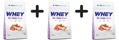 3 x Whey Lactose Free, Strawberry Cheesecake - 700g