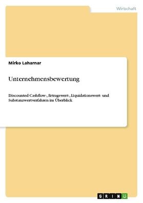 Unternehmensbewertung, Mirko Laharnar