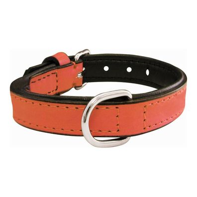 Hundehalsband Gloria Polsterung Koralle 55 cm (55 x 2,5 cm)