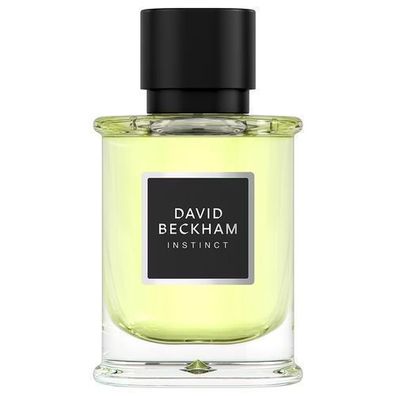 David Beckham Instinct 50ml, edler Herrenduft