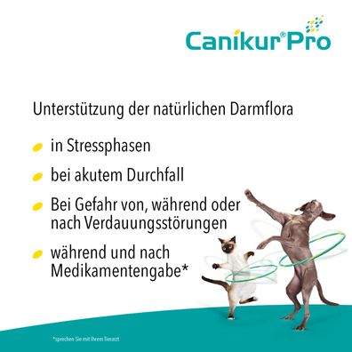 Boehringer Canikur® Pro Paste Diät-Ergänzungsfuttermittel für Hunde und Katzen