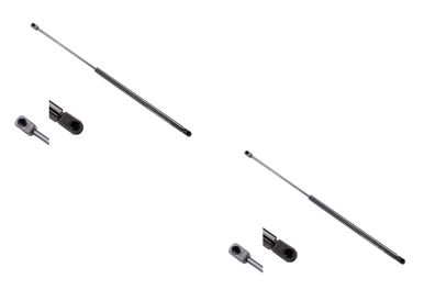 2x Gasfeder Dämpfer passend für Citroen C4 Picasso 02/07-08/13 Kofferraum di