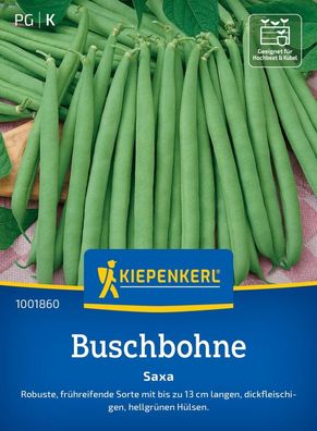 Buschbohne Saxa, robuste frühreife Sorte, bis zu 13 cm lange dickfleischige