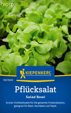 Pflücksalat Salad Bowl (Schnittsalat), Eichblattsalat - Freilandsaison - f