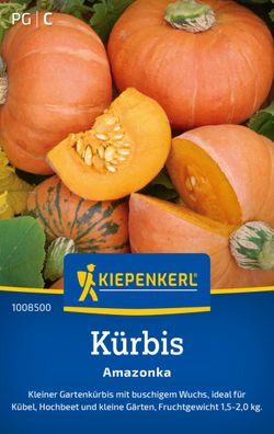 Kürbis Amazonka, Gartenkürbis - buschiger Wuchs - Kübel, Hochbeet u. kleine