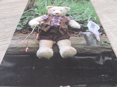 4895 / Ansichtskarte - Teddy / Teddybär als Angler