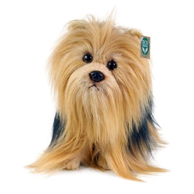 Yorkshire Terrier H= 25 cm, L= 30cm HUND Plüschtier Stofftier Kuscheltier Plüsch