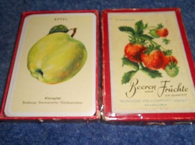 Kartenspiel/ Quartettspiel-Beeren und Früchte