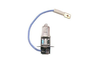 10 x Glühlampe Glühbirne Glühleuchte Glühmittel H3 12V 55W Sockel Pk22S Neuware