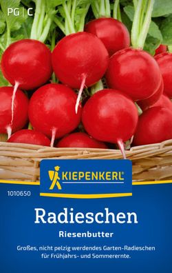 Radieschen Riesenbutter, großes, nicht pelzig werdendes Garten-Radieschen