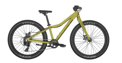 Scott Roxter 24 Junior Mountainbike green