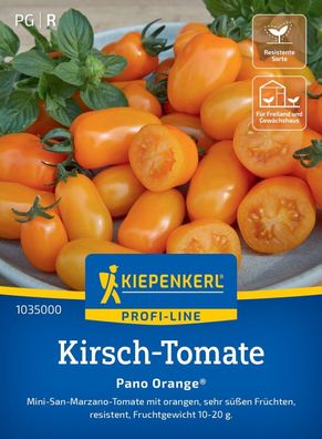 Kirsch-Tomate Pano Orange®, F1, Mini-San-Marzano-Tomate - resistent