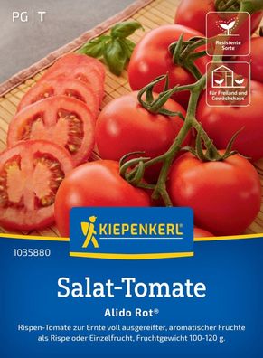 Salat-Tomate Alido Rot®, F1, Rispen-Tomate - resistent - Freiland u