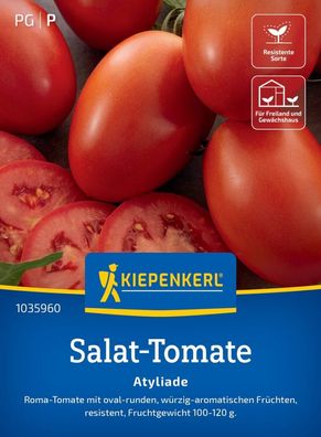 Salat-Tomate Atyliade, F1 Roma-Tomate - resistent - Freiland u Gewächshaus