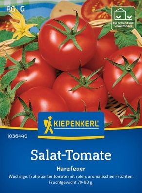 Salat-Tomate Harzfeuer, F1, frühe Gartentomate - Freiland u Gewächshaus