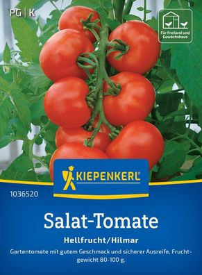 Salat-Tomate Hellfrucht/Hilmar, Gartentomate - sichere Ausreife - Freiland u