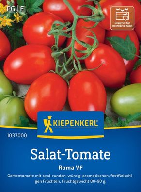 Salat-Tomate Roma VF, Gartentomate - festfleischig - Hochbeet u Kübel