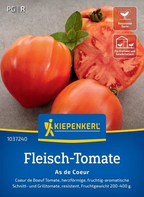 Fleisch-Tomate As de Coeur, Coeur de Boeuf Tomate - aromatische Schnitt- u