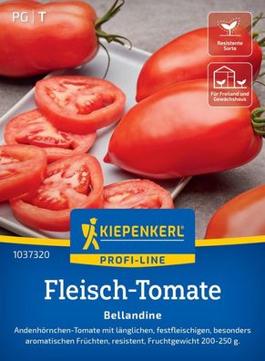 Fleisch-Tomate Bellandine, F1, Andenhörnchen-Tomate - festfleischig