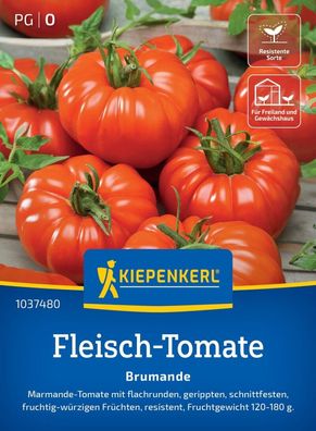 Fleisch-Tomate Brumande F1, Marmande-Tomate - schnittfest - resistent