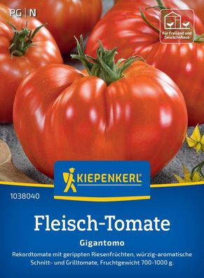 Fleisch-Tomate Gigantomo, F1, Rekordtomate - Schnitt- u Grilltomate